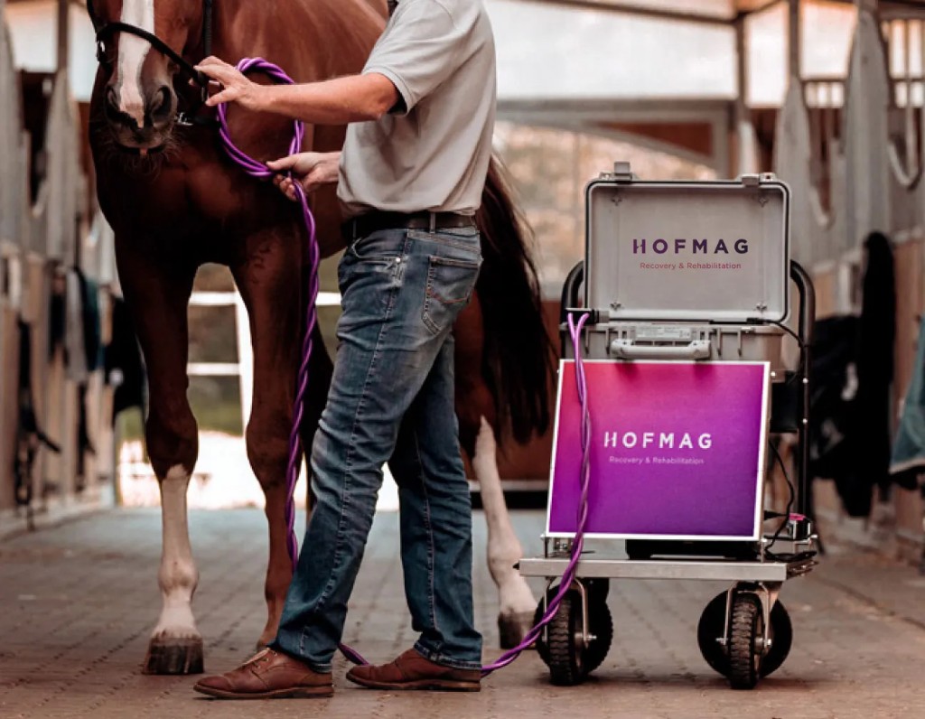 Hofmag pulsed electromagnetic field therapy session with a horse in a stable